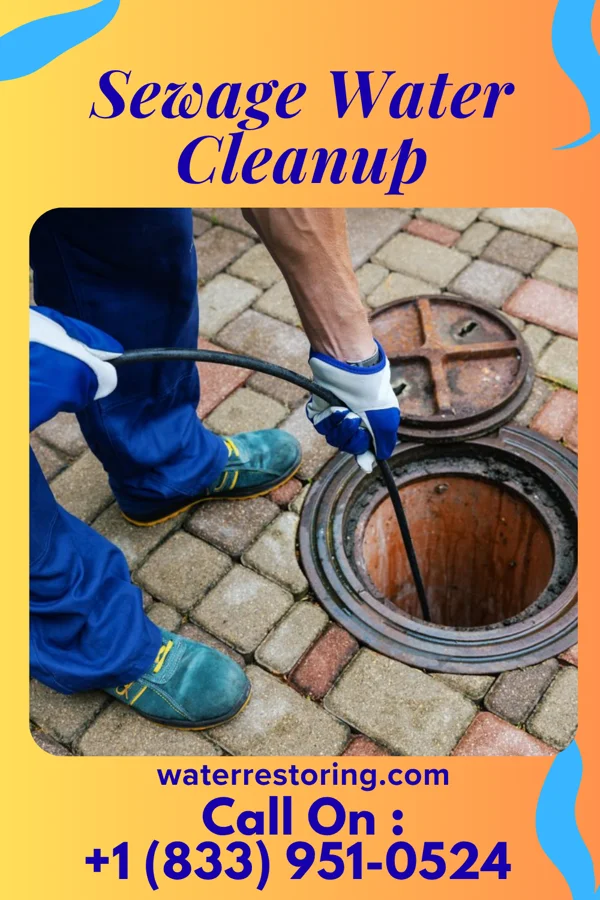 Sewage Water Cleanup in Grant City, MO